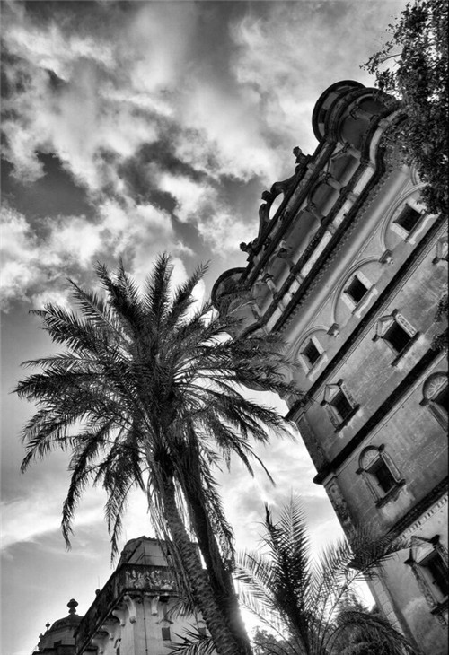 欧博